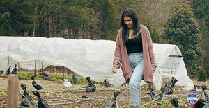 Woman walking through flower farm.